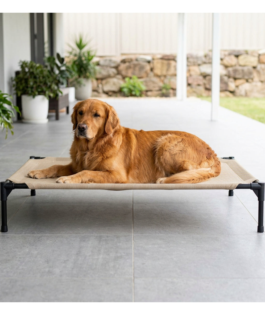 Rostl Large Elevated Mesh Dog Bed 120 x 85 cm Sand - Lifestyle view