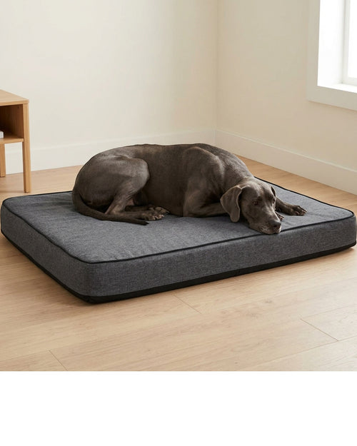 Rostl Large Layered Foam Dog Bed 110 x 80 cm Charcoal - Lifestyle view